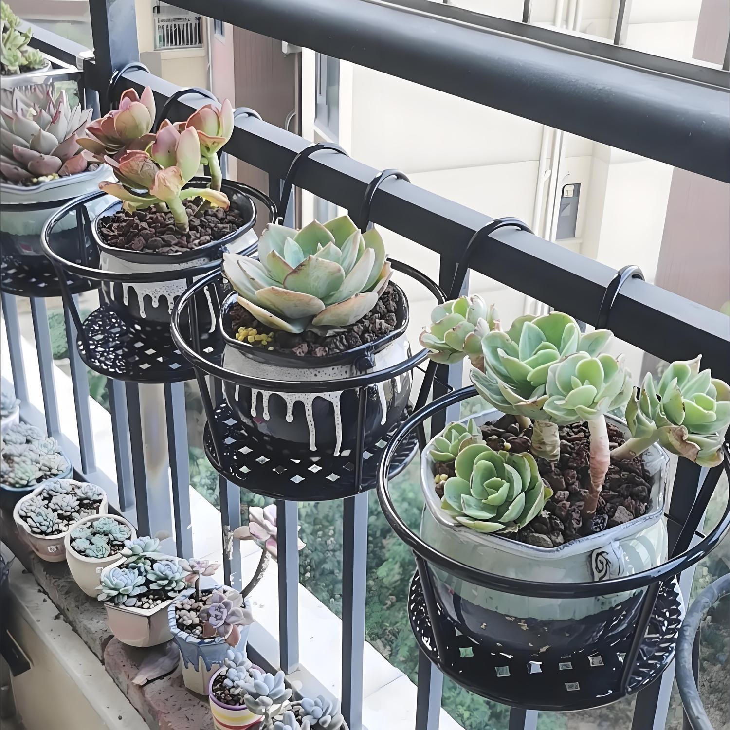 Spider Plant Hanging - Wrought Iron Balcony Hanging Flower Basket/Plant