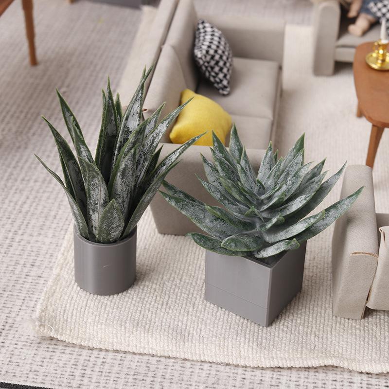 Miniature Aloe Vera Potted Pla - Aloe Vera Pot review and price