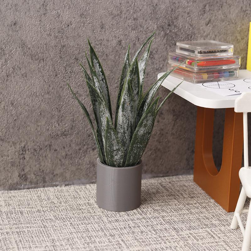 Miniature Aloe Vera Potted Pla - Aloe Vera Pot review and price