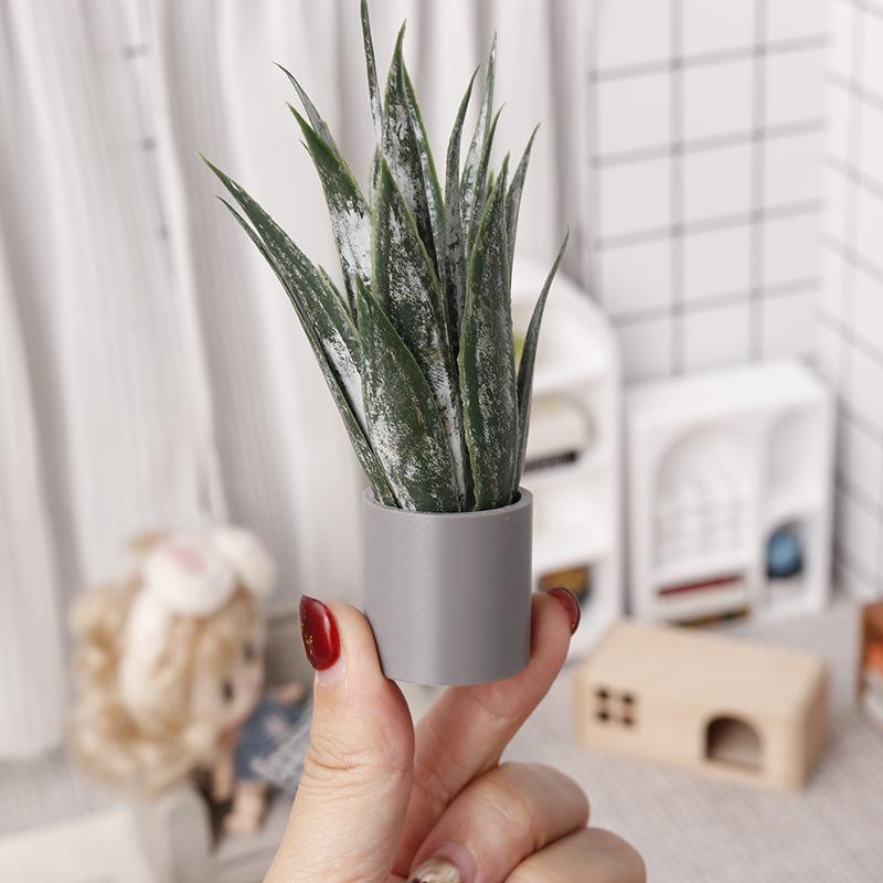 Miniature Aloe Vera Potted Pla - Aloe Vera Pot review and price
