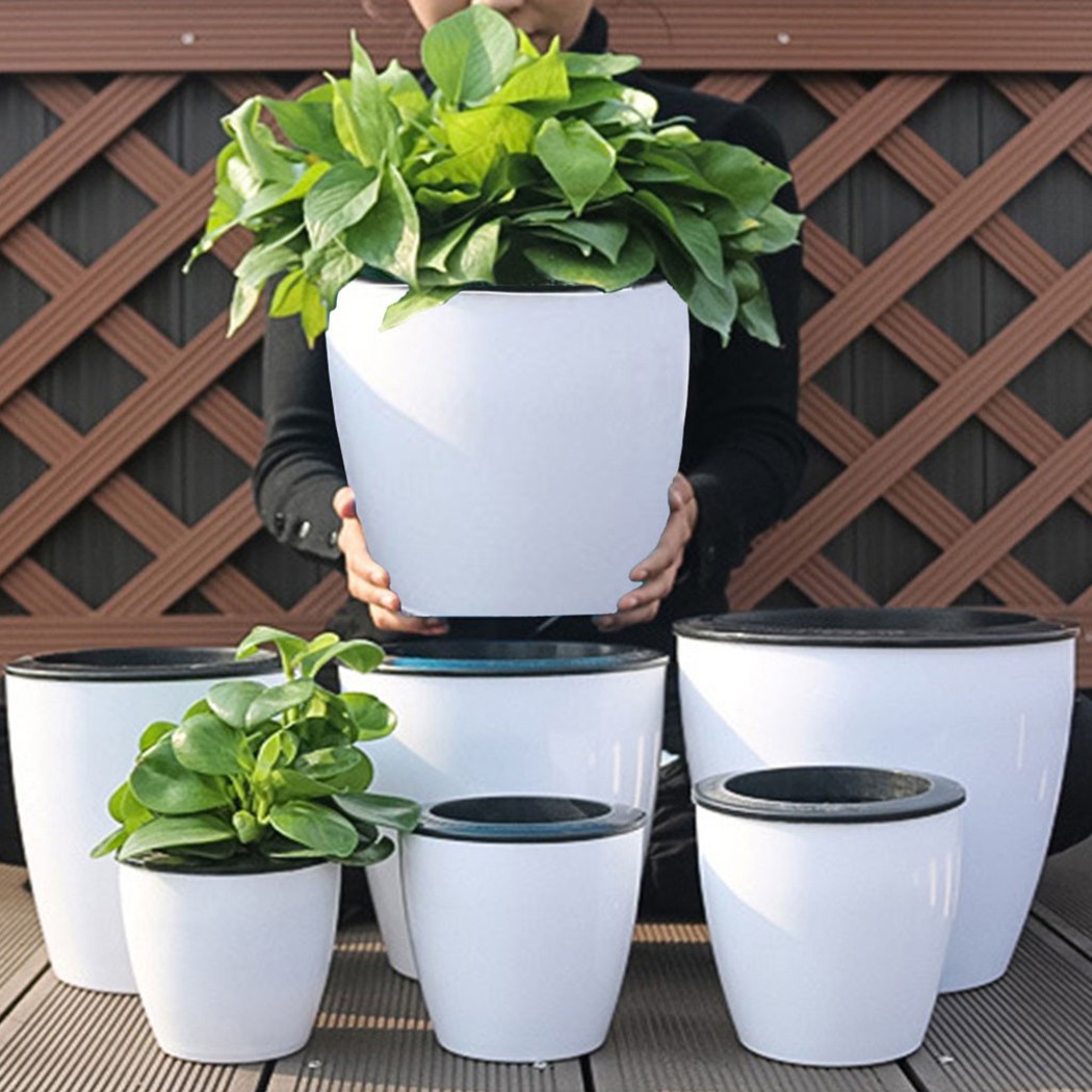Automatic Watering Flower Plan - Aloe Vera Pot review and price
