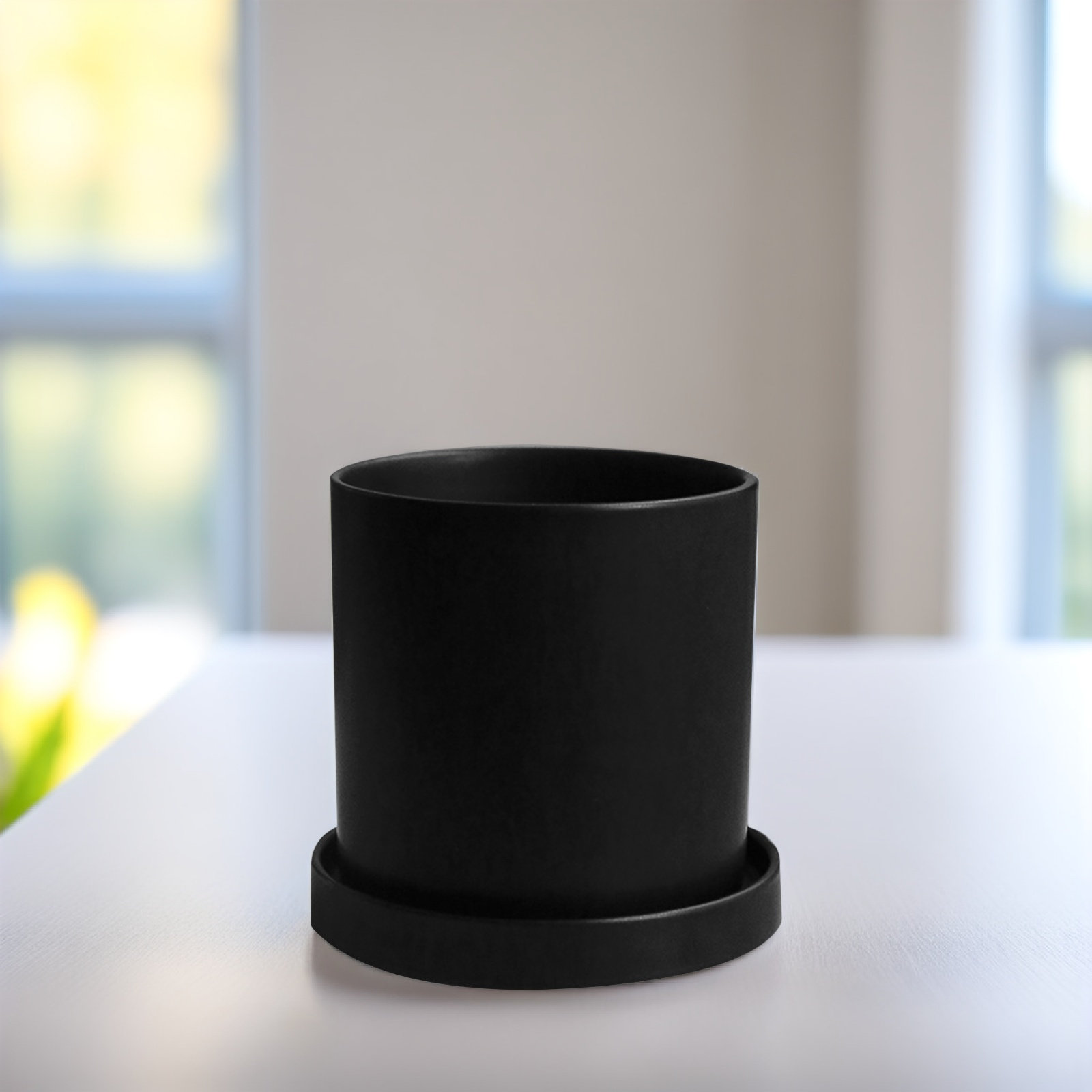 1Set Stylish Ceramic Pots with - Aloe Vera Pot review and price
